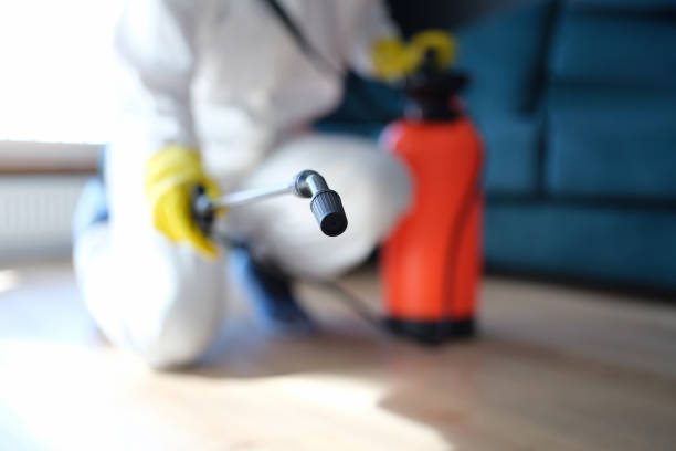 Environmental Consulting for Mold Prevention in Woodlawn, OH